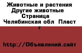 Животные и растения Другие животные - Страница 2 . Челябинская обл.,Пласт г.